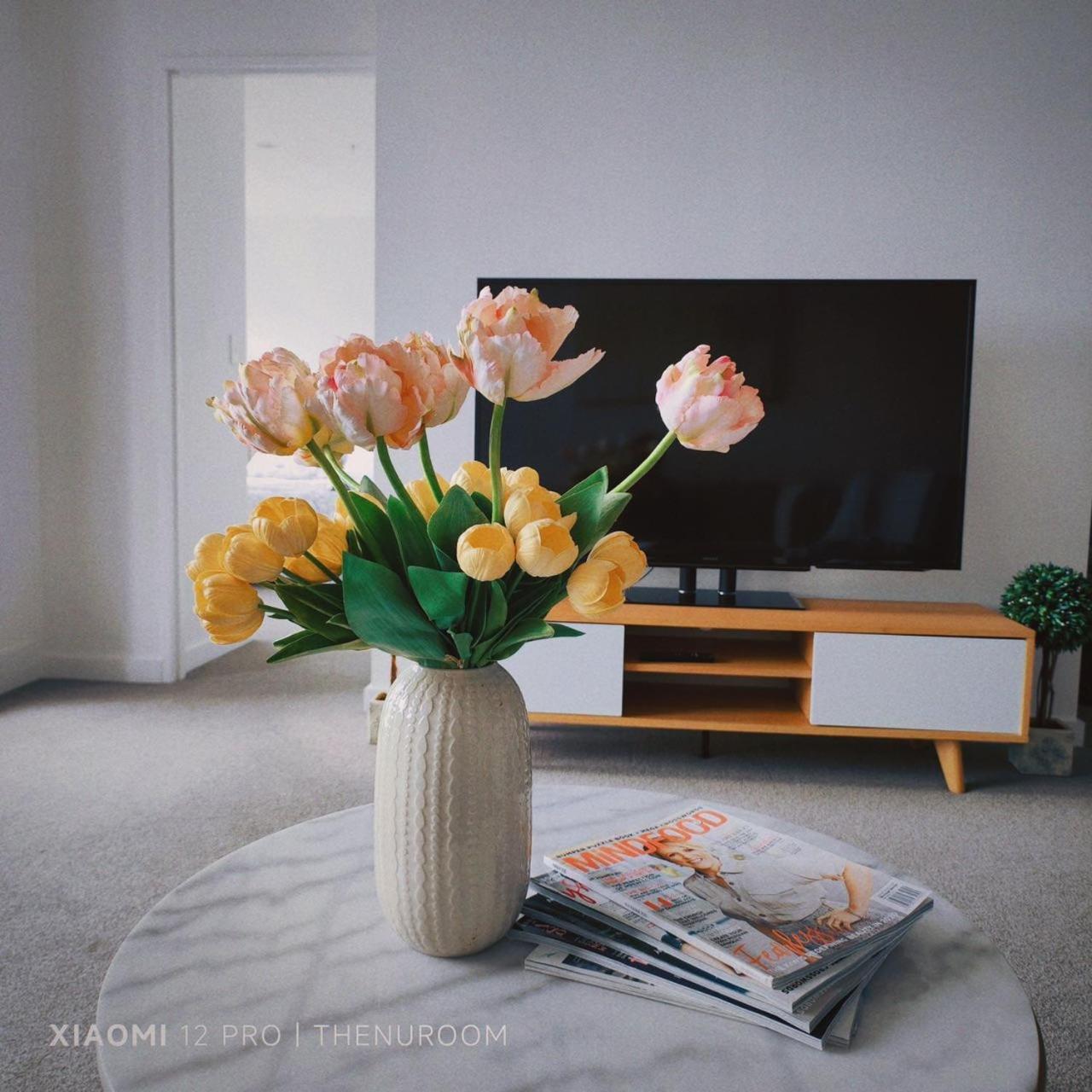 Auckland Birkenhead Bnb エクステリア 写真